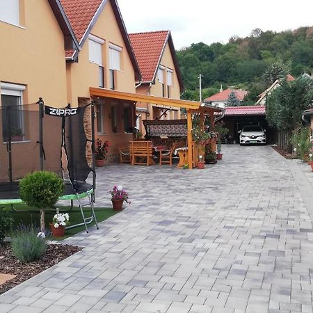 Agica Vendeghaz Villa Andornaktalya Bagian luar foto
